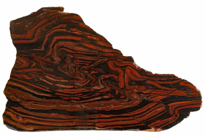 Polished Tiger Iron Stromatolite Slab - Billion Years #163113
